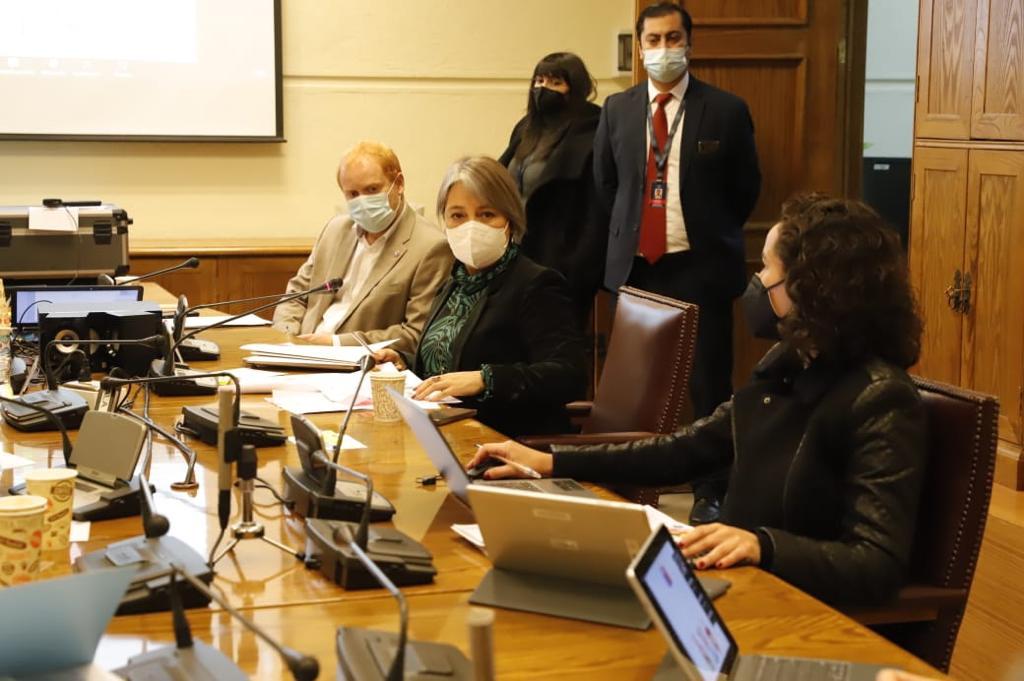 Ministra Jara: “Quiero reiterar nuestro compromiso de presentar un proyecto que reforme el sistema de pensiones durante agosto de este año”
