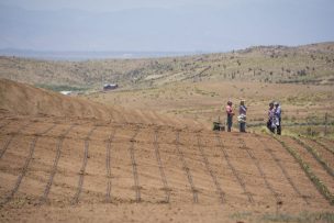 Proyecto Adaptaclim identificó principales riesgos del cambio climático en el suelo y agua en la región