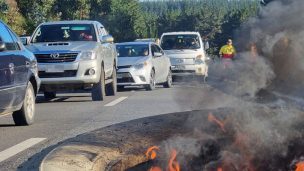 Arauco informa suspensión de operaciones en siete unidades productivas tras manifestaciones de contratistas forestales