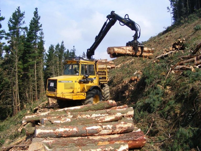 Alcaldes de la macrozona sur alertan por crisis forestal y llaman a reactivar el empleo