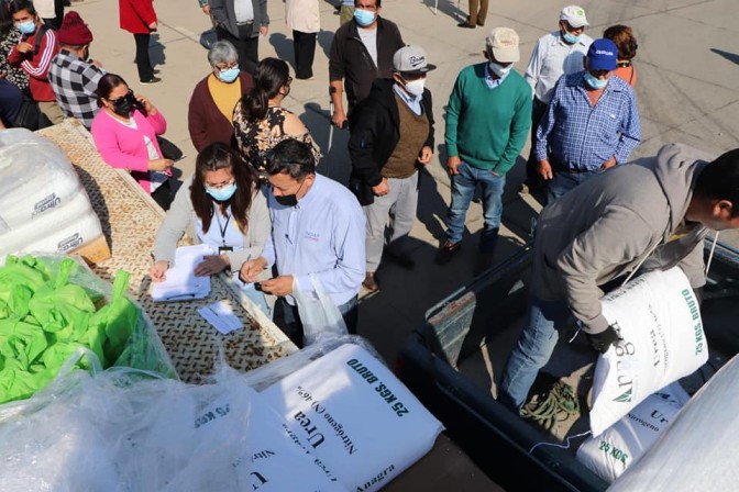 730 millones de pesos en incentivos entrega INDAP O’Higgins a más de 6 mil 300 microproductores agrícolas