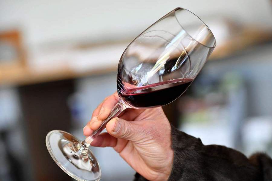 Consumo de vino en Chile: cuáles son las nuevas tendencia y el boom de las cosechas tardías