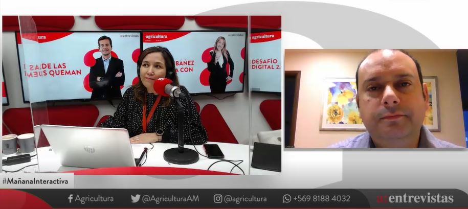 Exdirector de Conadi: “La ministra de Desarrollo Social desechó el catastro de tierras que estuvimos trabajando nosotros durante un par de años”