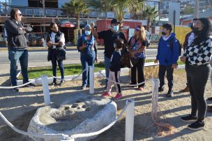 Panorama para este domingo 29 de mayo en Guanaqueros: Invitan a conocer la primera Ruta Urbana de Piedras Tacitas de Chile en el Día de los Patrimonios