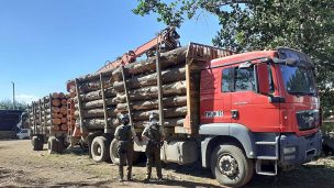 Robo de madera en macrozona sur: Mundo político y gremial apuntan a falta de coordinación entre policías y SII