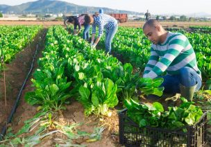 Ministros y Secretarios de Agricultura de las Américas debatirán acción climática para el sector agrícola previo a Cumbre hemisférica de Los Ángeles