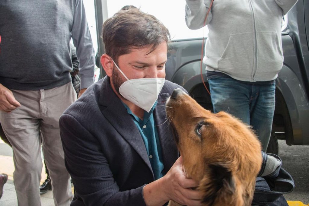 Brownie envía mensaje al Presidente Boric por primera Cuenta Pública: “Estaré moviendo mi colita”