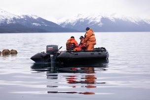 Rescatan datos oceanográficos de anclaje sumergido en el canal Beagle