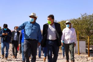 Ministerio de Agricultura apoya generación de vinos de altura en el desierto