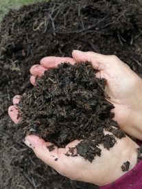 La agroecología como una necesidad para los pequeños agricultores de la Región Metropolitana 