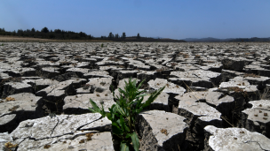 Gobierno anuncia medidas para fortalecer fiscalización del delito de extracción ilegal del agua