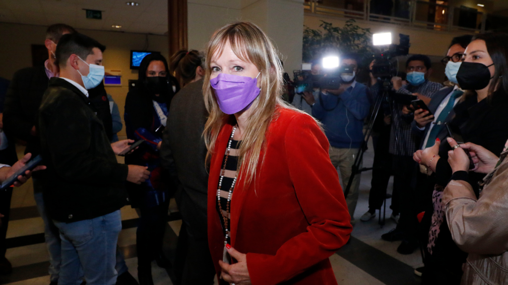 Ana María Gazmuri por proyecto sobre test de drogas en la Cámara: “No está planteado de la forma correcta”