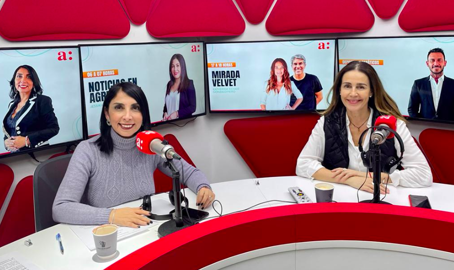 Bárbara Rebolledo afirma estar “frustrada” por el proceso constituyente: “La derecha, por ser una minoría, pasamos a sentarnos y a comer cabritas”