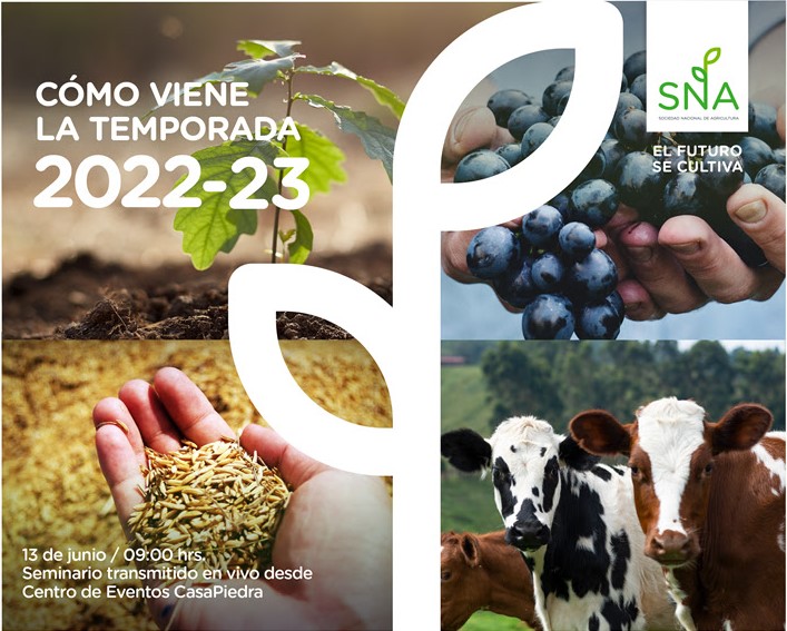 Hoy Seminario SNA: ¿Cómo viene la temporada 2022-2023?