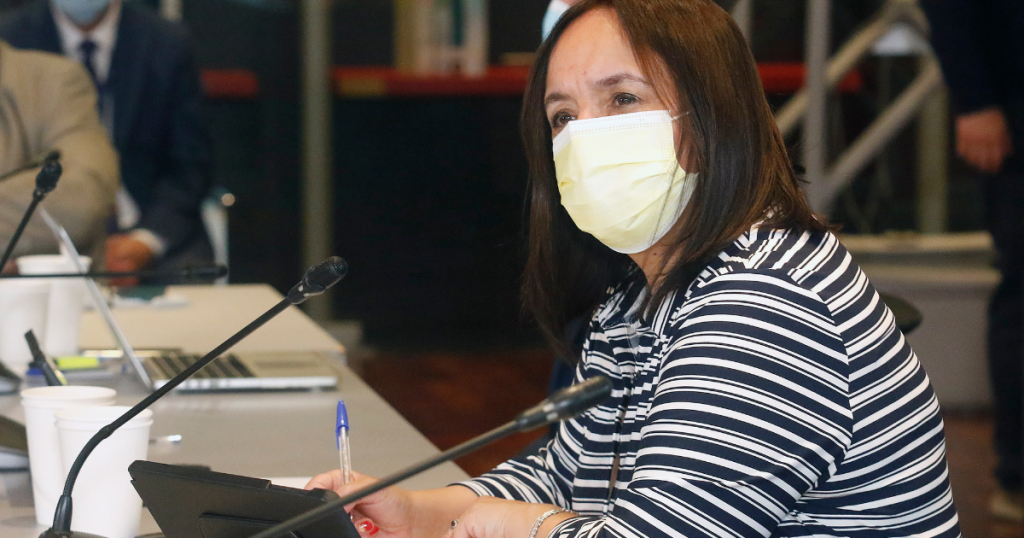 Senadora Aravena participó en encuentro organizado por Conapyme y expuso sobre el escenario económico y social de La Araucanía