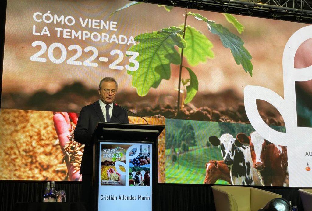 Presidente de la SNA sobre borrador de la nueva Constitución: “En su génesis no consideró a todos los chilenos”