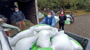 Entregan forraje animal a más de dos mil agricultores de Alto Biobío