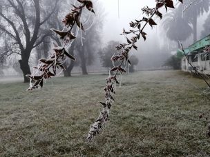 Advierten que lluvias y frío de junio no significan vuelta a normalidad