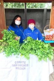 Indap entregó equipamiento agrícola a pequeños productores del Prodesal de Mulchén