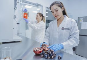 Desde alimentos saludables hasta fármacos y bioplásticos: cómo la biotecnología está mejorando nuestra vida diaria