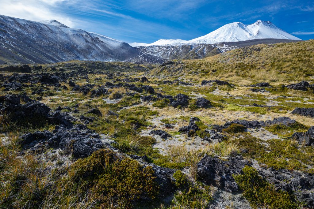 Paro de Conaf: Fedetur alerta sobre graves consecuencias para el turismo en temporada alta