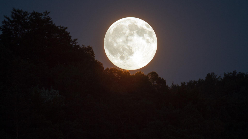 Por segunda vez en el año se podrá presenciar la SúperLuna: Cuándo y cómo presenciar este fenómeno astronómico