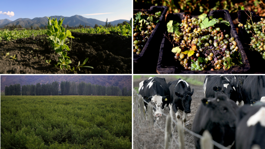Este lunes se realizará el seminario ‘¿Cómo viene la temporada 2022-2023?’: Analizarán desafíos y oportunidades para los distintos sectores del agro