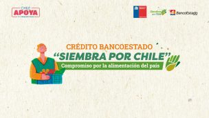 Ministerio de Agricultura y BancoEstado anuncian que crédito Siembra por Chile otorgado a agricultores se ha triplicado