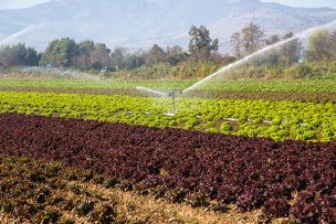 Agricultura regenerativa, la solución para proteger los suelos frente al cambio climático