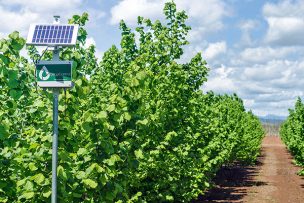 AgTech: las nuevas estrategias de tres compañías locales de agrotecnología