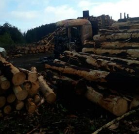 Ataque incendiario culmina con maquinaria y un contenedor quemados en Lumaco