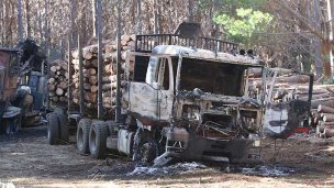 61% de las pérdidas por ataques a faenas forestales en el sur se concentran entre 2020 y 2022