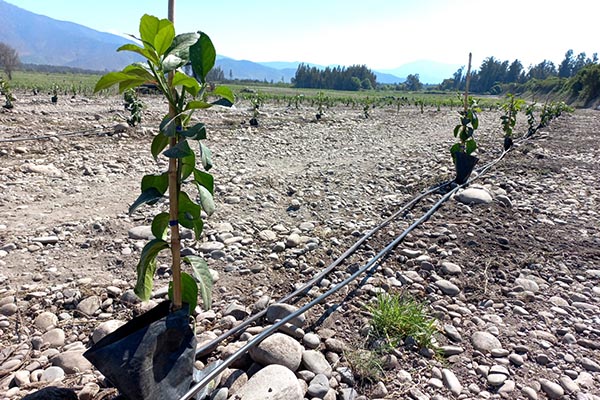Industria local innova en tecnologías para el uso eficiente del agua en la agricultura