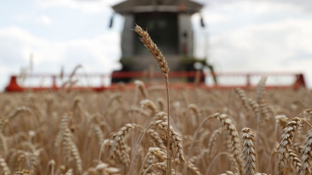 Ucrania ha perdido el 25%  de sus tierras cultivables tras guerra con Rusia