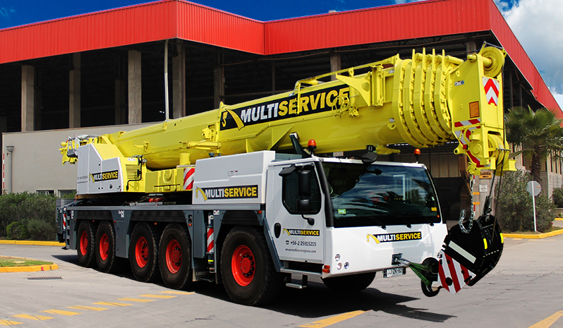 Multiservice Grúas: 33 años junto a los principales proyectos de la industria nacional