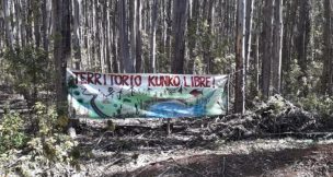 Forestales dicen que solo el 15% de tierras reclamadas por mapuches pertenece al sector