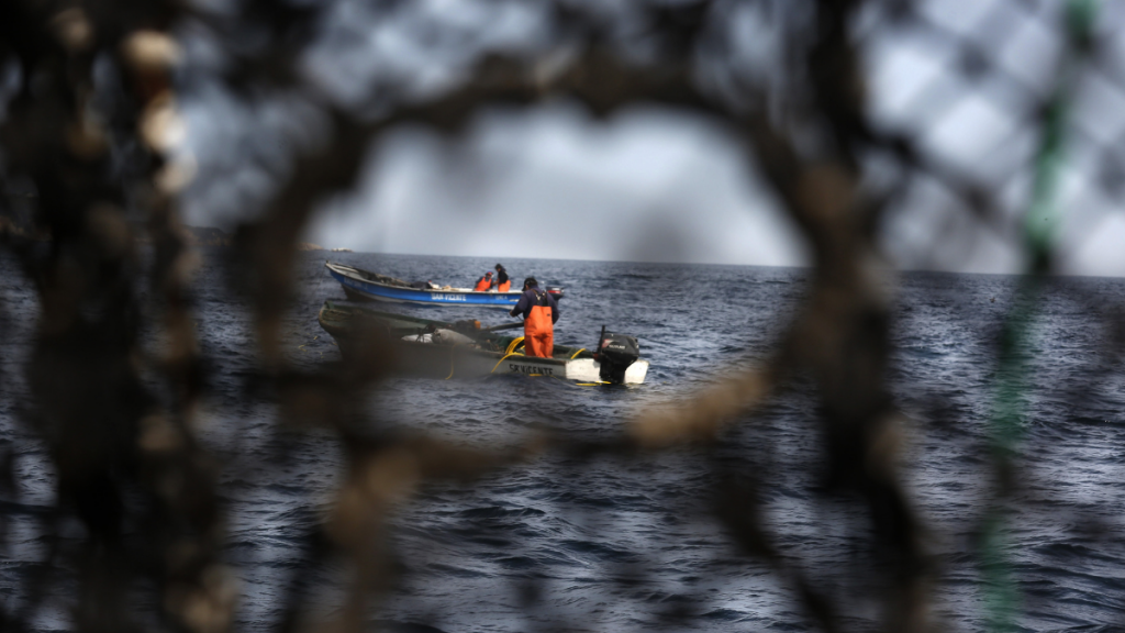 Diputado Mauro González emplaza al Gobierno a intervenir ante crisis de la pesca artesanal en Ancud