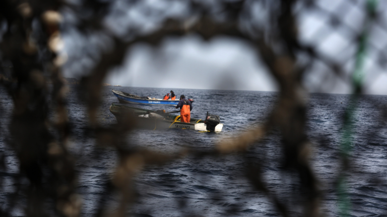 Comisión de Pesca aprueba proyecto para que carpinteros de ribera sean asignatarios de caletas artesanales