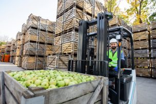 Curso virtual gratuito del IICA y socios permitirá fortalecer el comercio internacional agropecuario en las Américas