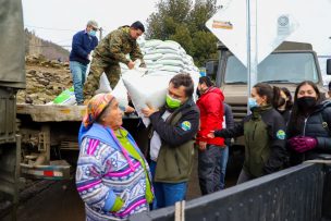 Ministerio de Agricultura encabeza entrega de 2.600 sacos de alimento animal para agricultores de Alto Biobío y Antuco