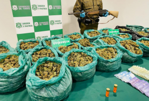 Carabineros incautó más de $200 millones en marihuana en una quebrada de Ovalle