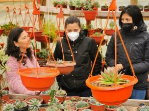 Lanzan nuevo concurso para mujeres agricultoras en Biobío