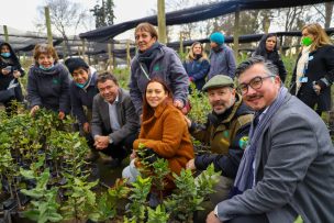 Plan de reactivación económica para la restauración de bosque nativo permitirá la creación de más de 18.000 empleos