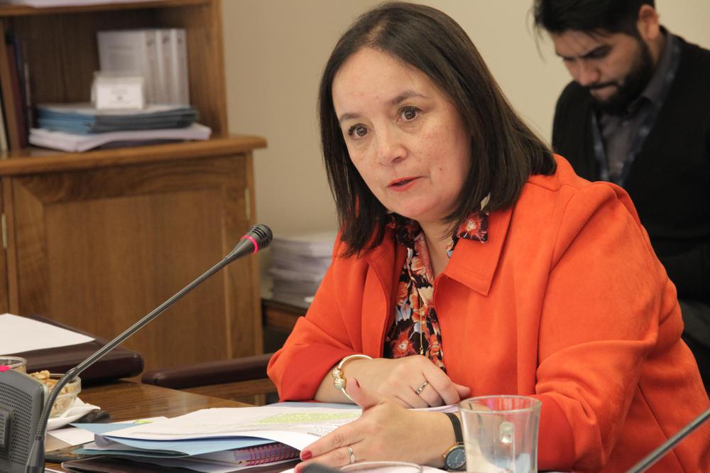 Senadora Carmen Gloria Aravena: “La violencia le está ganando por goleada al país”