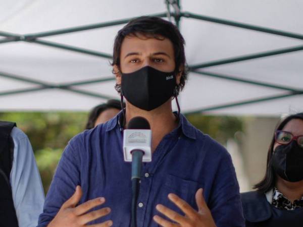 Ex convencional Cretton: “Declararse como Estado plurinacional no se condice con la realidad del país”