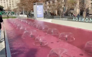 Manifestante tiñe de rojo la pileta ubicada frente al Palacio de La Moneda