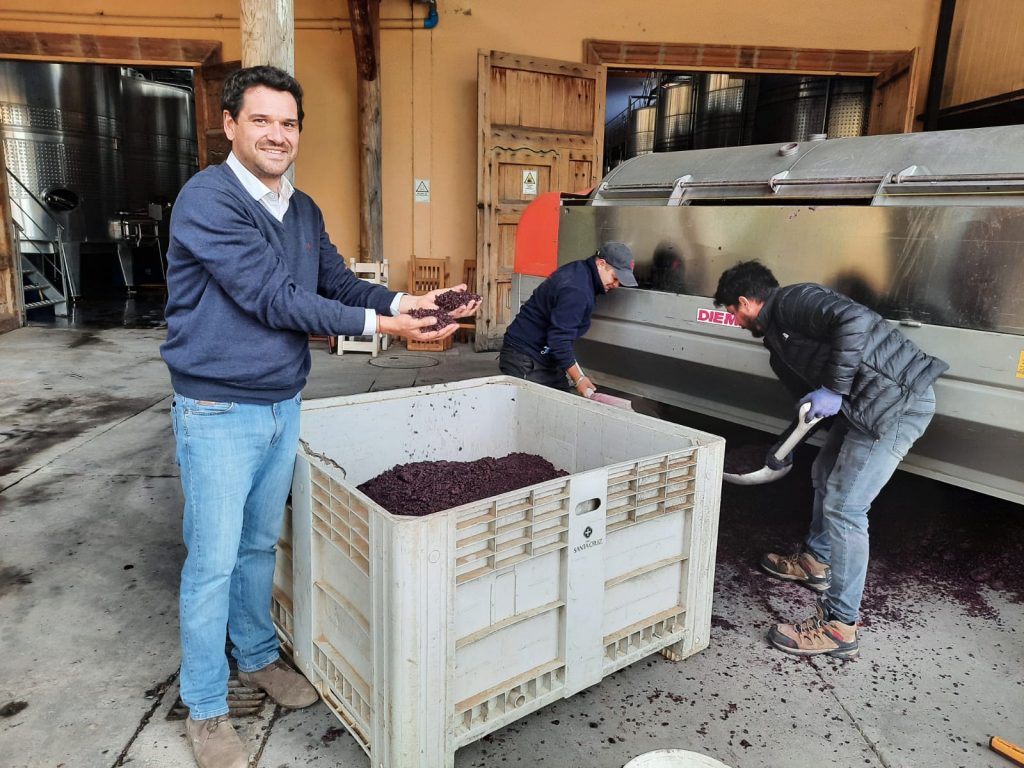 Emprendedoras colchagüinas innovan con cosmética de vino para tratamientos de vinoterapia