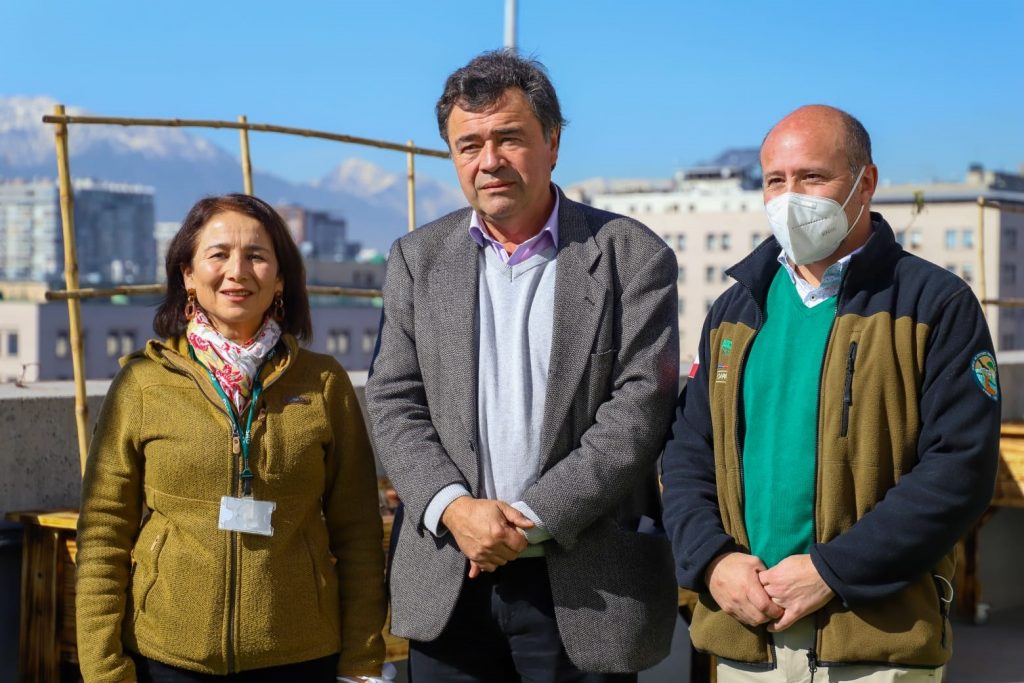 Ministro de Agricultura: “No se han prohibido las parcelaciones, pero vamos a fiscalizar”