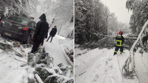 Cerca de cuatro mil clientes se mantienen sin luz en la zona lacustre de La Araucanía tras la intensa caída de nieve