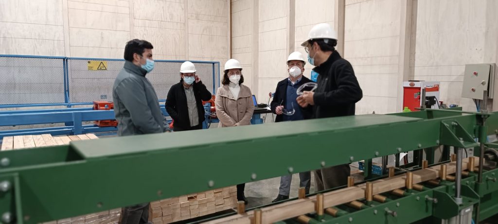 Destacan trabajo de Infor para el desarrollo del ciclo forestal de las regiones de Biobío y Ñuble